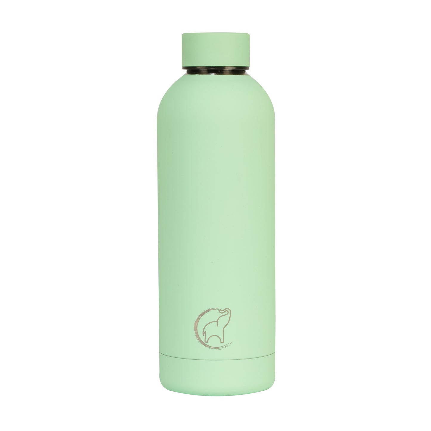 Water Bottle - Mint